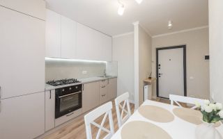 Vânzare, apartament, 1 cameră, strada Băcioii Noi, Botanica - Poză 2