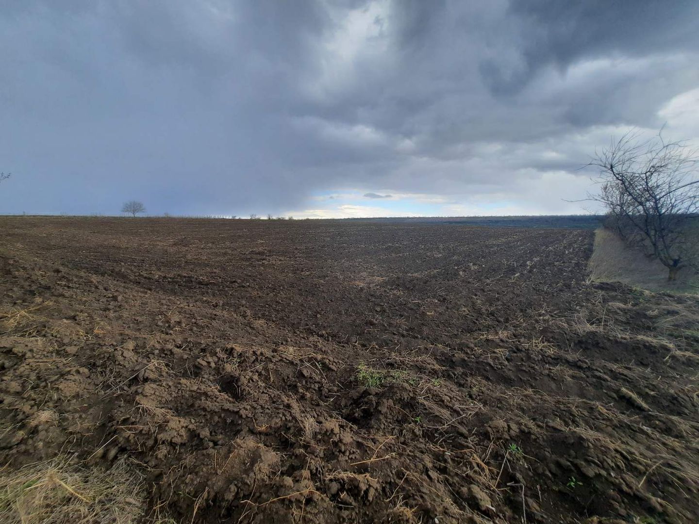 Teren agricol, Boșcana, 20 ari - Poză 3