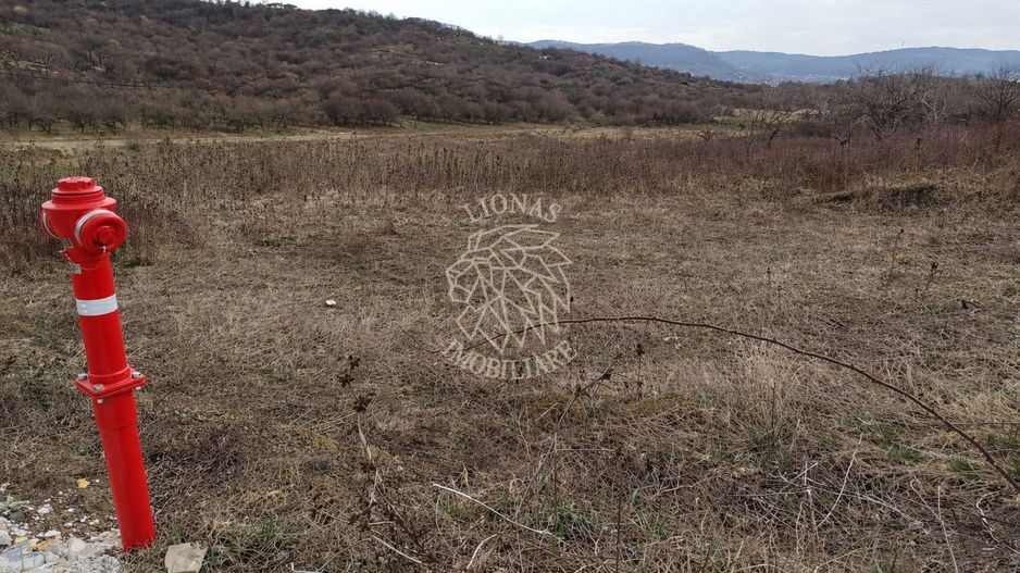 Teren intravilan 550 mp cu utilitati-ideal casa-Zona Valea Rusului - Poză 1