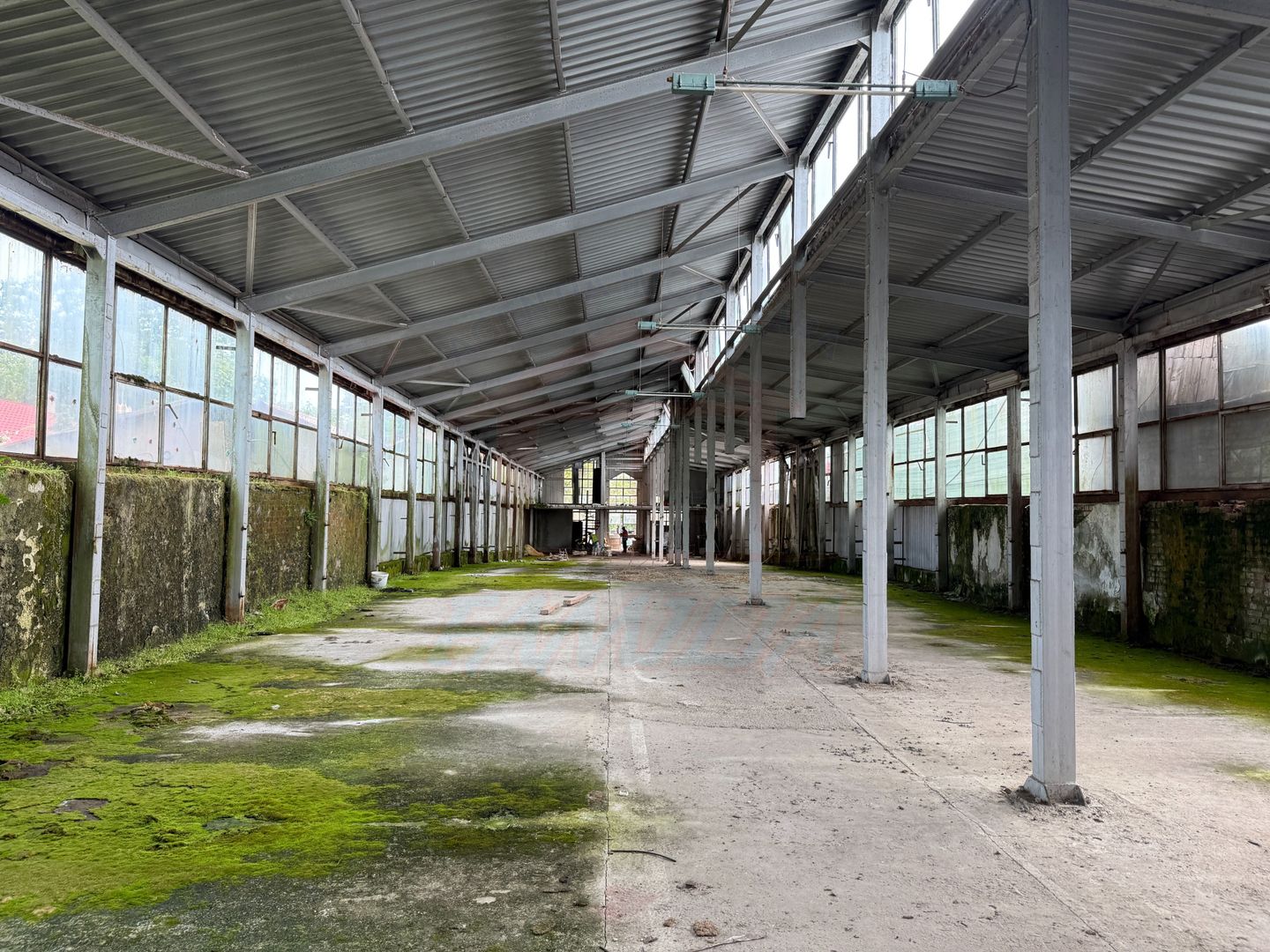 Hala In oras str Traian eligibil program "Tranzitie Justa" - Poză 6