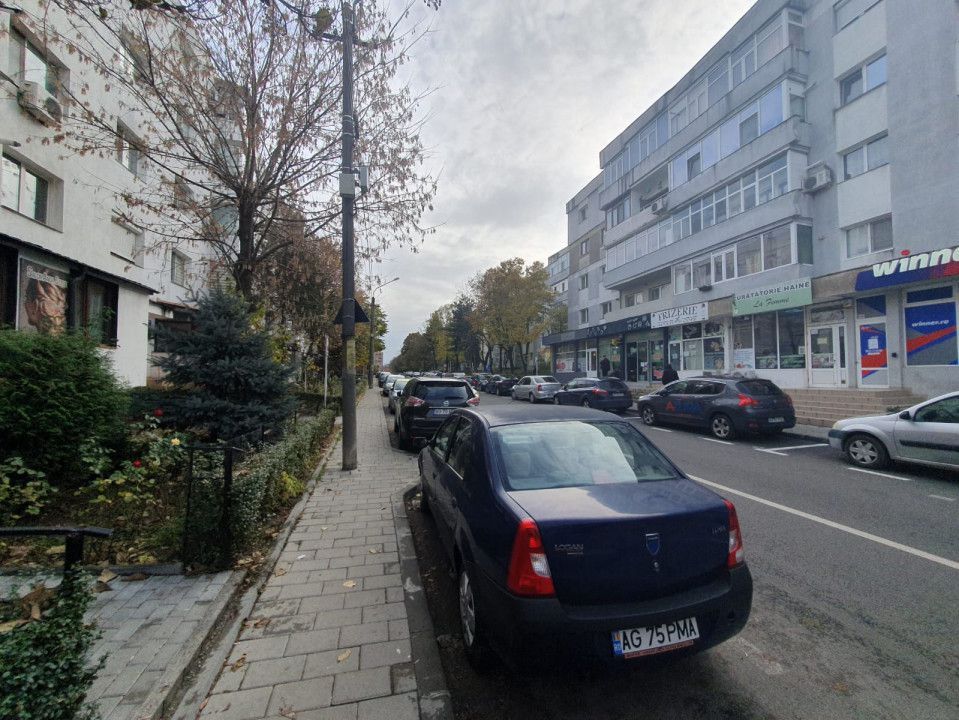 Inchiriere spatiu comercial, Banatului - Poză 4