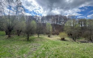 TEREN INTRAVILAN 4365 MP POENARII DE MUȘCEL  JUDEȚUL ARGES - Poză 14