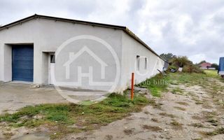 Hala de inchiriat, situata in Santaul Mic, Bihor - Poză 10