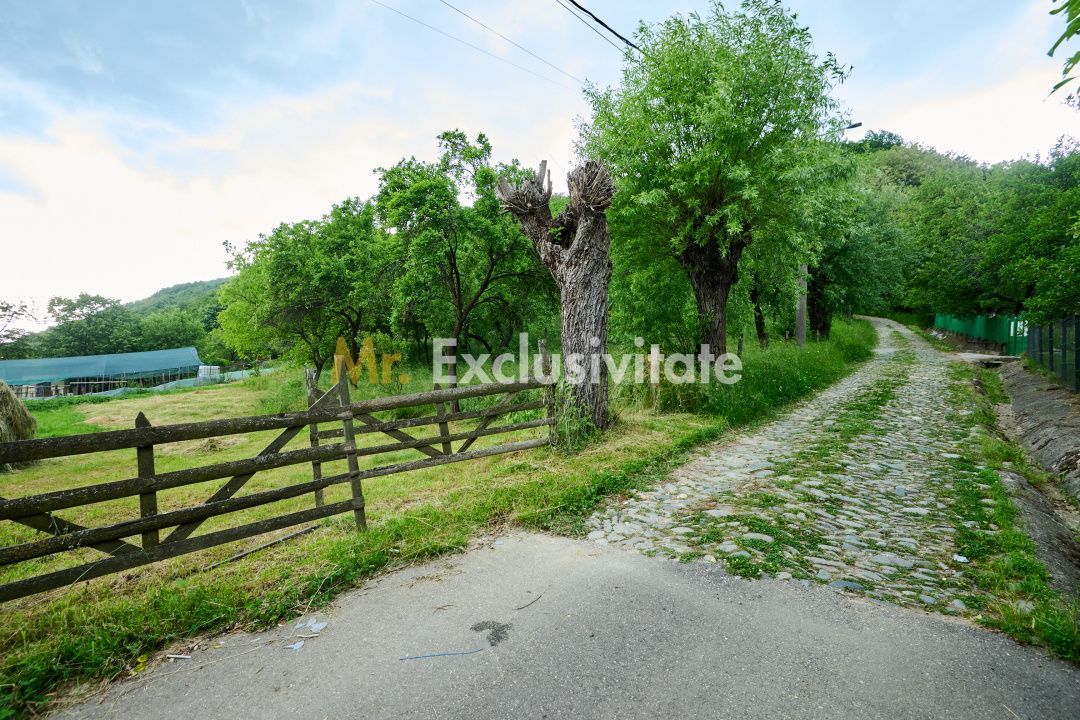 Casa cu teren generos - 4696 mp Apa Sarata - Campulung !! - Poză 15