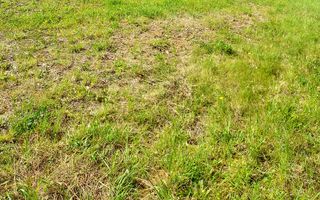 Teren de vis în Faget: Oportunitate unică pentru construirea casei tale ideale. - Poză 2