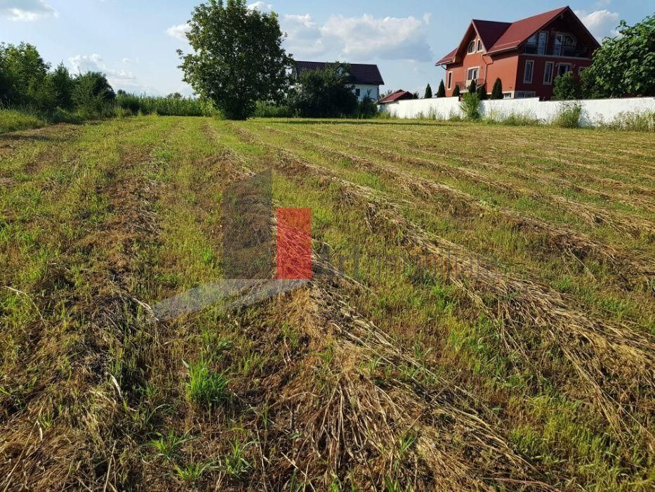Teren Adunații Copăceni - Poză 4