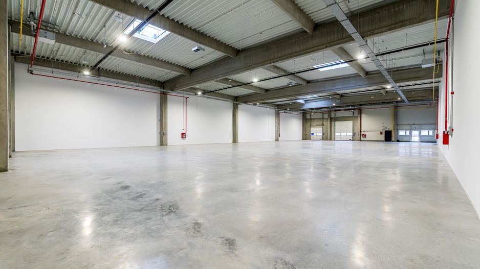 4646 mp - Hala industriala de inchiriat in Parc Industrial Arad - Poză 10