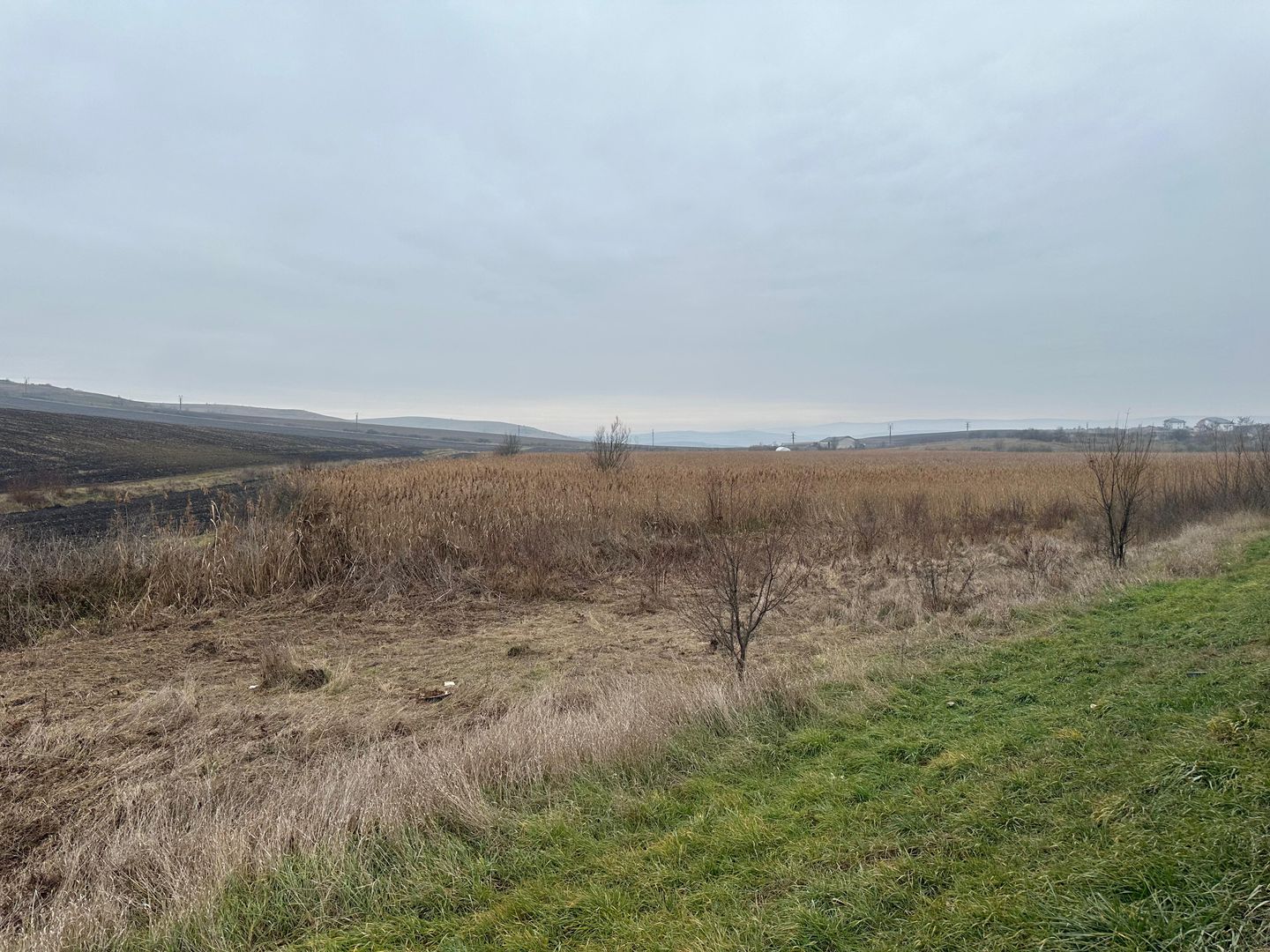 Teren 13.780 mp, Apahida, Cluj - Ideal pentru Investiție - Poză 7