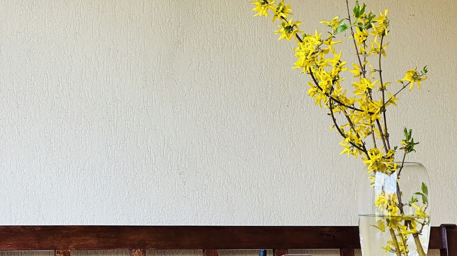 Oferta Inchiriata - Casa Segmentul Premium, 180 mp | Garaj&Gradina | Fropin - Poză 37