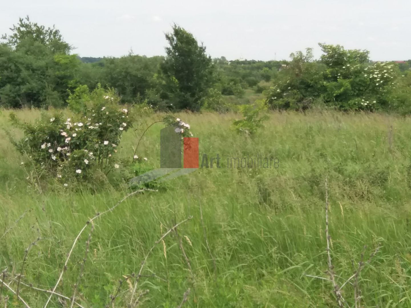 Teren cu iesire la lac - Poză 21