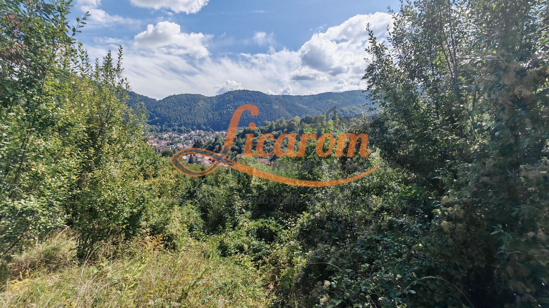 Teren Premium Drumul Poienii (Warthe)-5 Parcele de la 500 mp,270Eur/mp - Poză 4