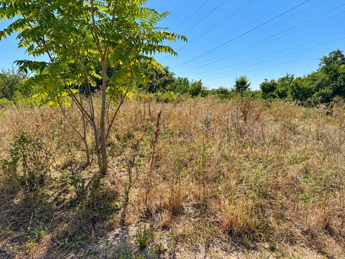 Teren 3.658 mp, deschidere la trei drumuri | Drumul Pogoanele - Poză 4