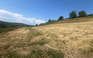 Teren Intravilan |5.000 MPU | Șura-Mare | - Poză 3