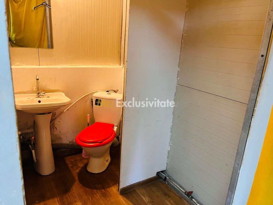 Spatiu comercial stradal, pozitie strategica – N. Balcescu, zona Piata Centrala - Poză 8