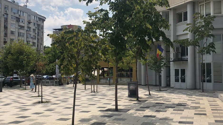 Spatiu comercial stradal || Zona Blvd Decebal || Terasa 110Mp  || Video - Poză 13