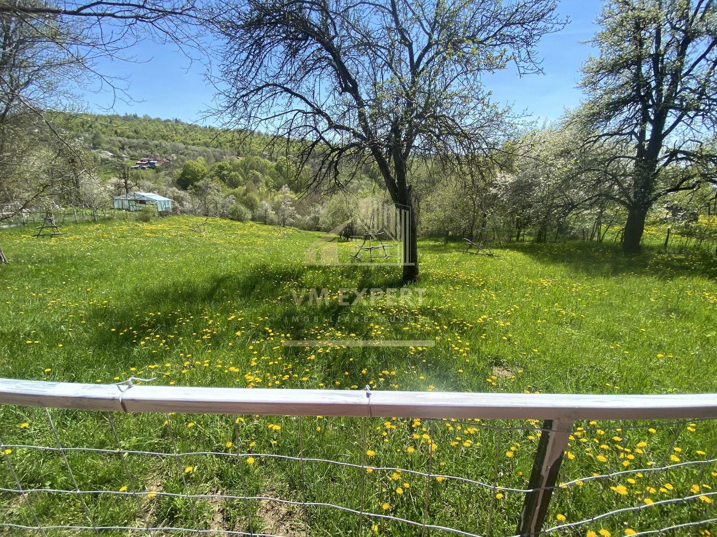 TEREN INTRAVILAN 3265 MP, VALEA MARE PRAVAT, ARGES - Poză 4