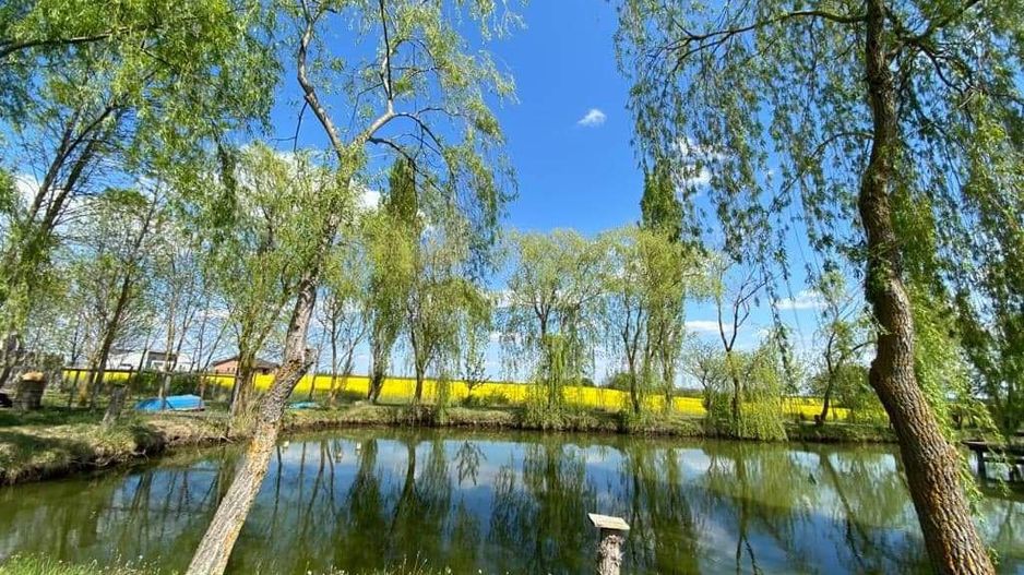 Vila individuala /proiect deosebit - Poză 11