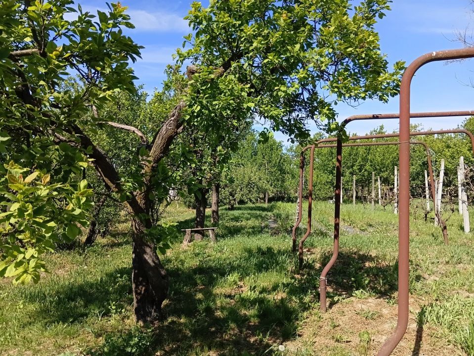 De Vânzare Casă Culciu Mare Satu Mare - Poză 5
