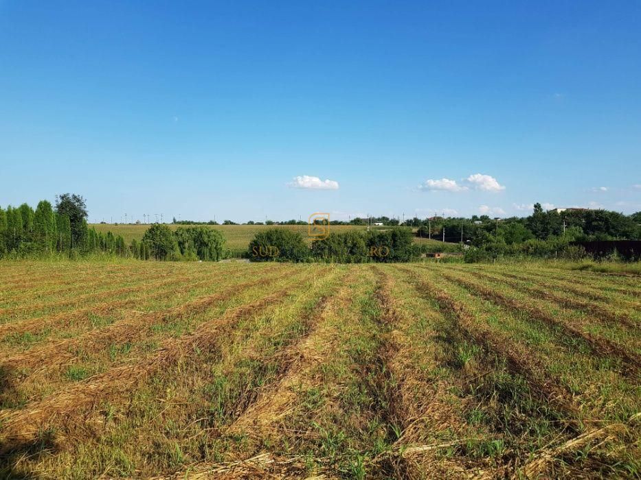 Teren intravilan – Adunatii Copaceni | 3.399 mp | Ideal investitie - Poză 3