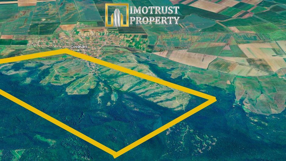 Teren agricol de vânzare 17,51 ha Covăsânț – 7.000 €/ha - Poză 3