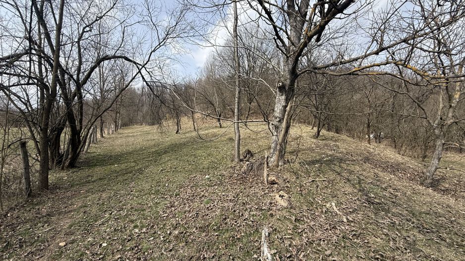 Teren 6040 mp la baza pădurii deschidere 40 ml - Poză 1