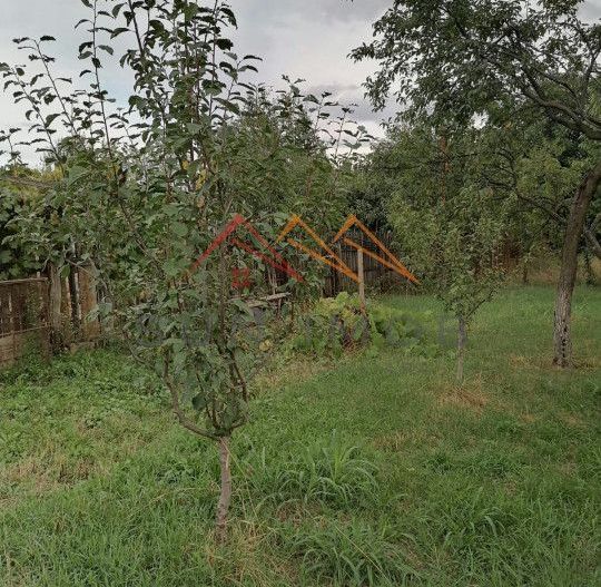 Casa rustica 3 camere, 4000 mp teren, cabana din lemn, pomi fructiferi - Poză 6