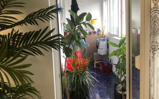 De vanzare Apartament  2 camere  Lujerului - Poză 15