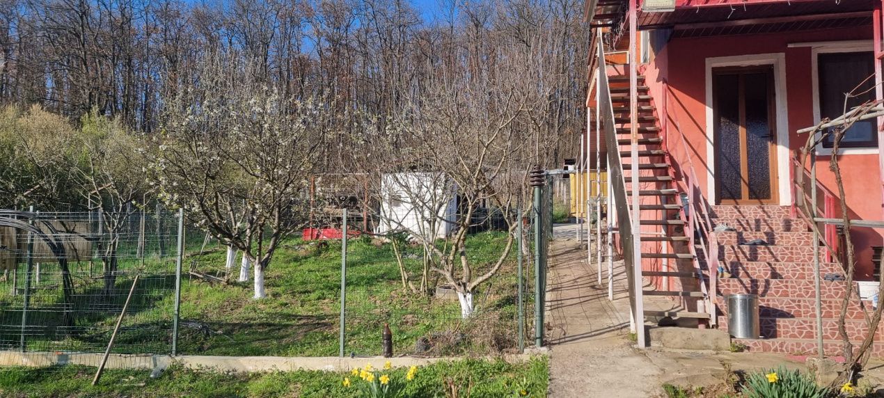 Casă P+M cu 1.558 mp teren, livadă și garaj | Barza, Gorj Comision 0%  - Poză 12