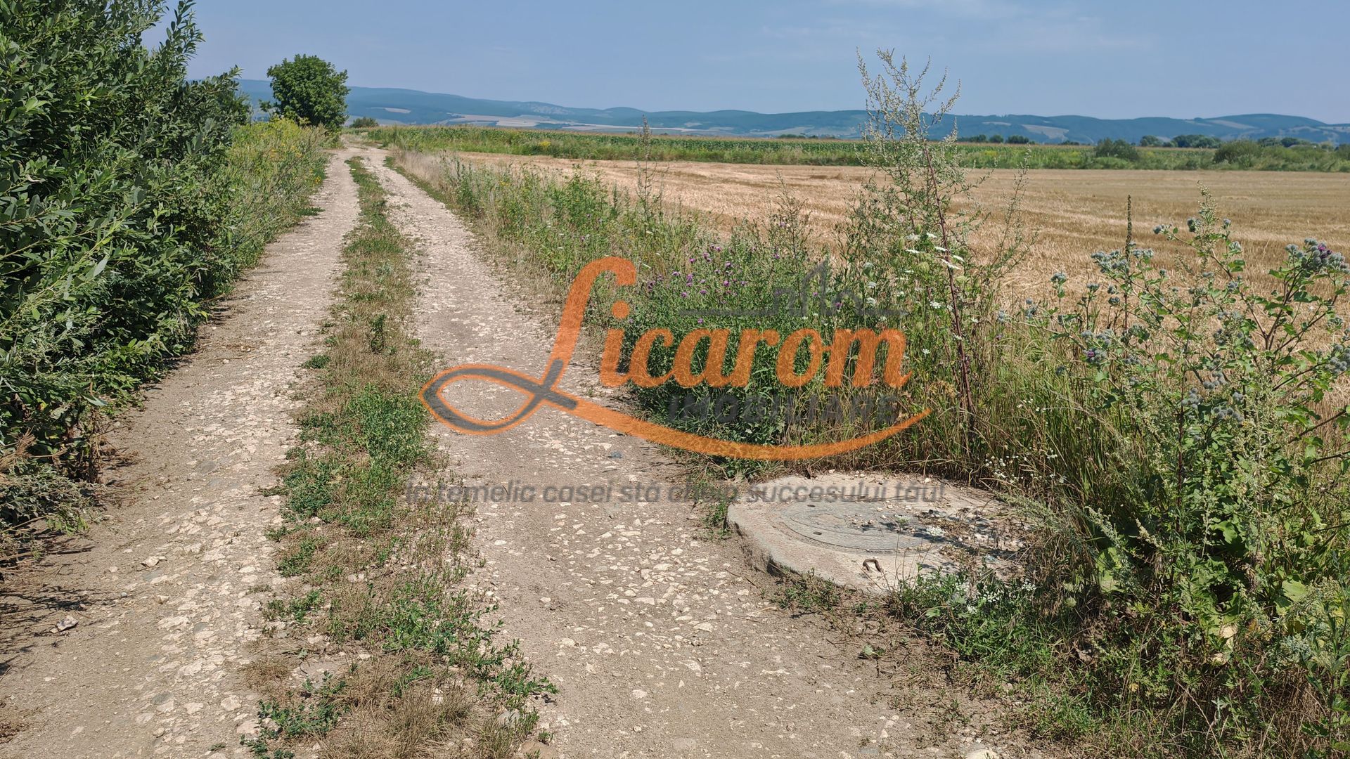 Teren intravilan 3,85 ha,Brasov DN 13 langa MILLE, OLYMPUS, ARKADA - Poză 7