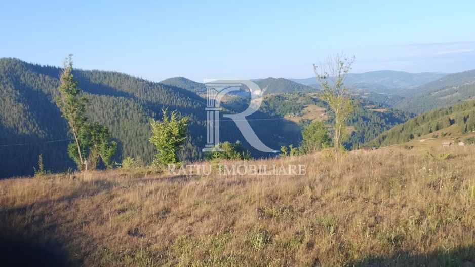 Teren Intravilan | 3.000 mp | Gârda de Sus | Alba | - Poză 2
