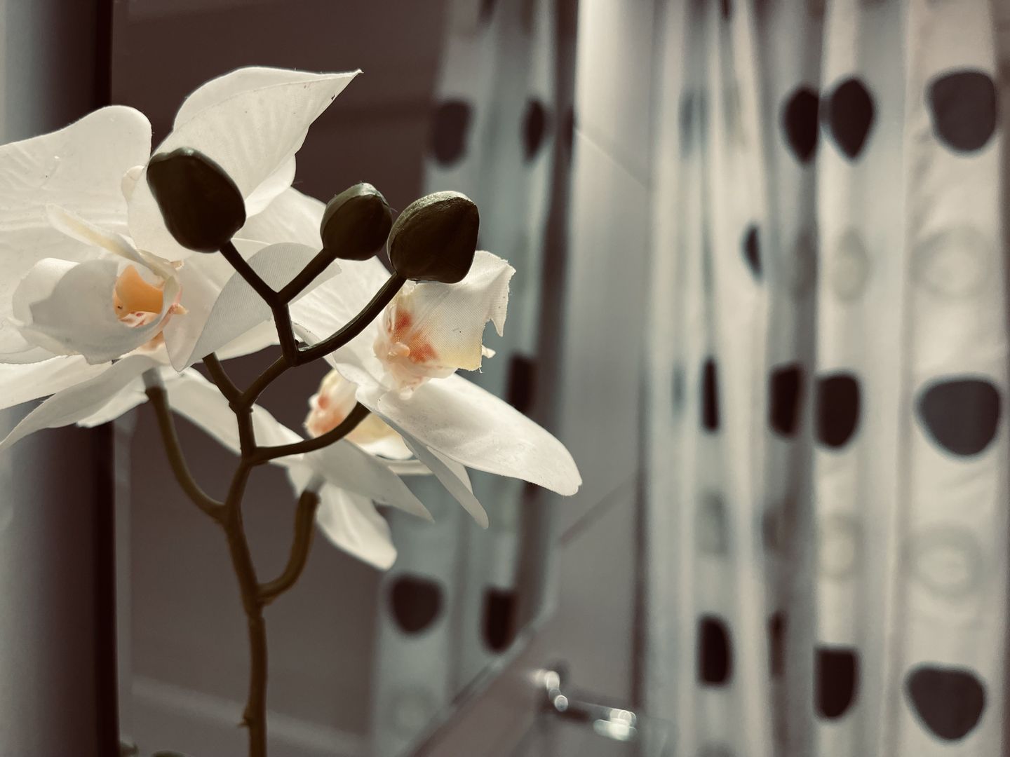 Adora Forest | 2.5 camere | Terasa superba 19 mp | 2 locuri parcare - Poză 31