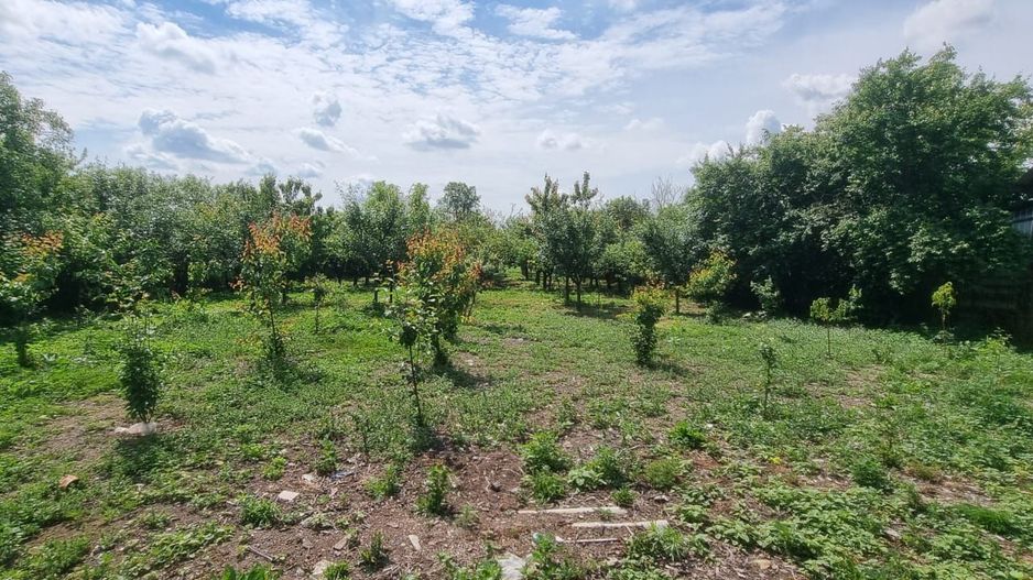 Casă 6 camere, livadă, 3 199 mp, Girisul Negru, Bihor. 42 000 E - Poză 5