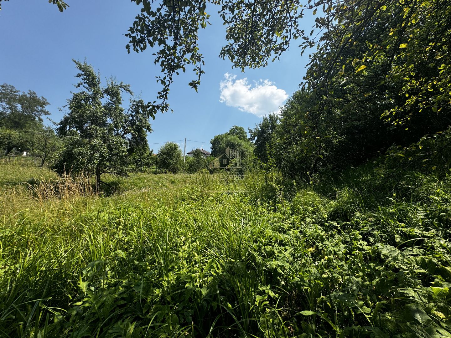 TEREN INTRAVILAN 2146 MP, ALBESTII DE MUSCEL, ARGES - Poză 11