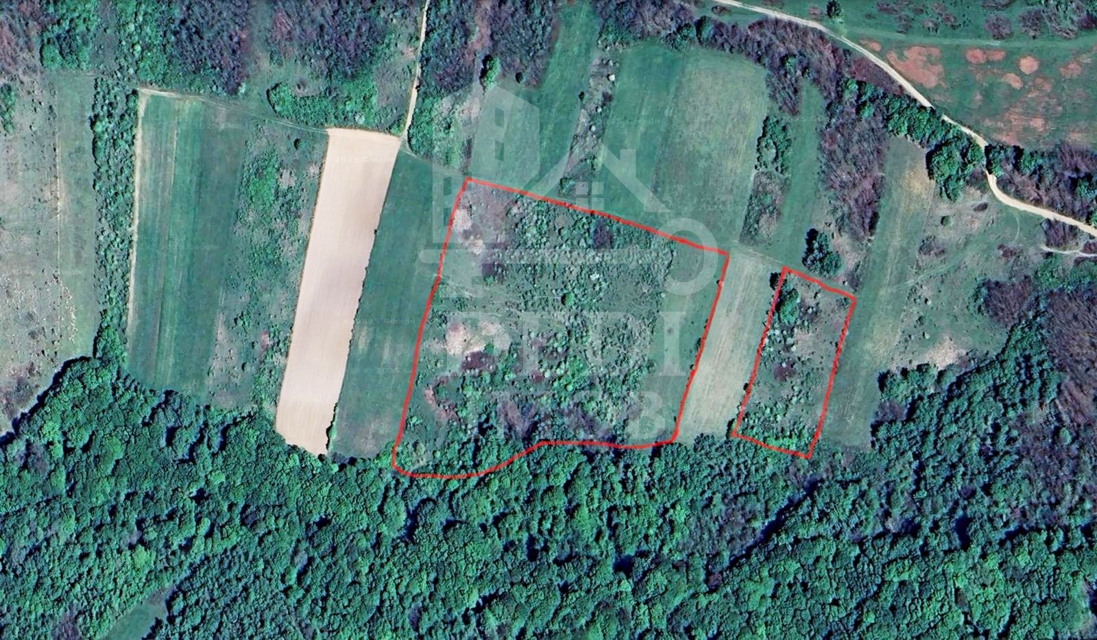 Teren 1 EURO/mp de vanzare in Tileagd-Balaia, Bihor - Poză 2