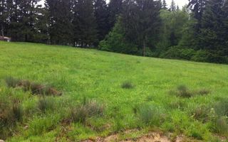 Teren intravilan Cotul Donului,pretabil Hotel/pensiune. - Poză 17