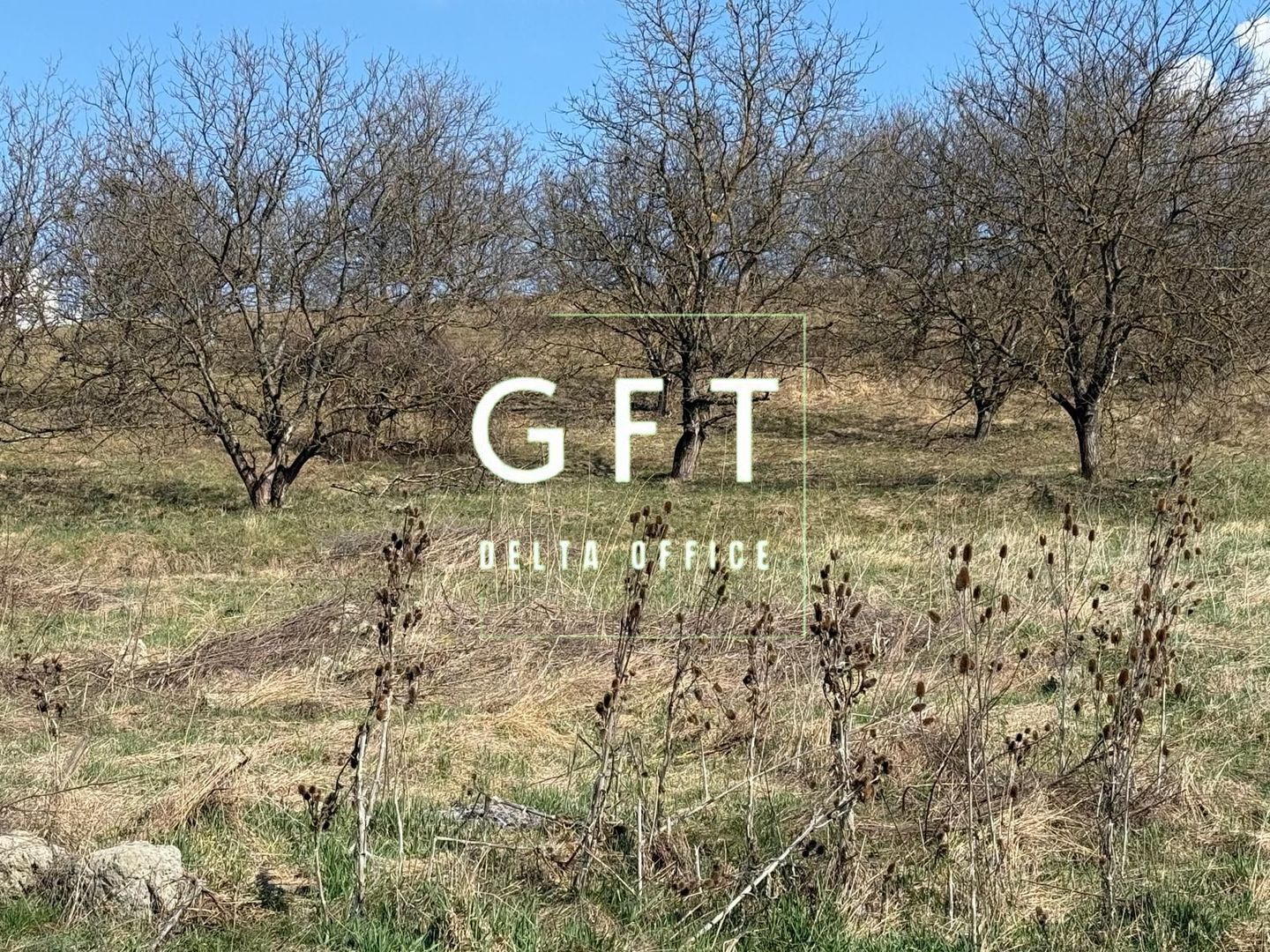 Teren Intravilan 6 ari Drumul Sigmirului - Cu Proiect de casa - Poză 7