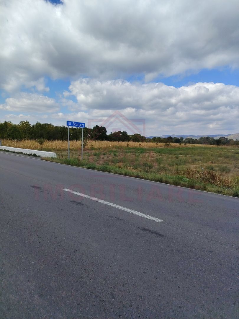 TEREN EXTRAVILAN\ 3678 MP\ OBREJA  JUD. CARAȘ- SEVERIN - Poză 2