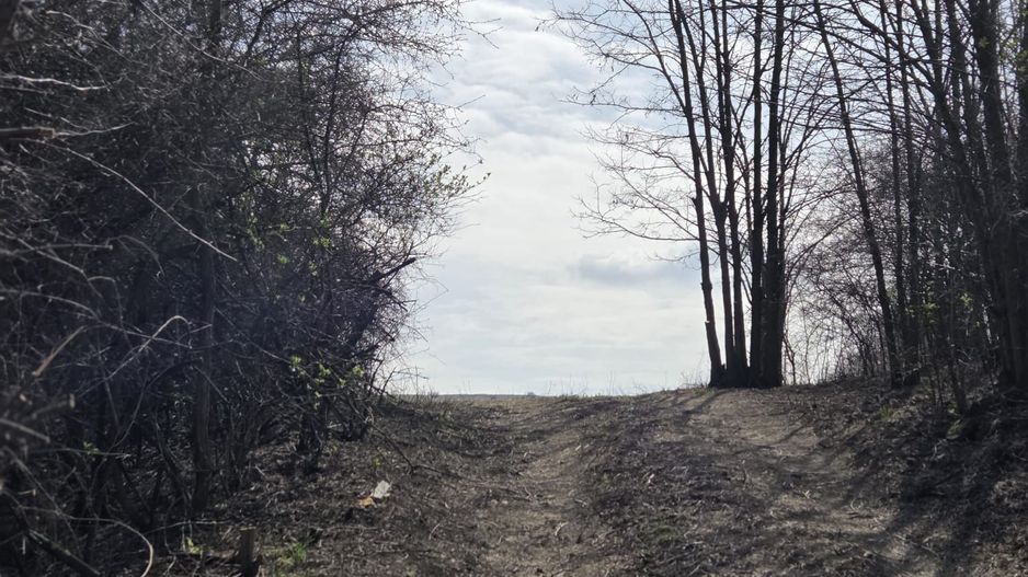 Teren de vanzare Pata Cluj - Poză 6