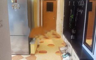 Apartament 2 camere zona  Basarabiei - Costin Georgian - Poză 12