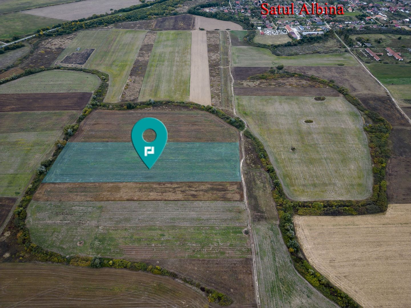 Teren agricol de 34.500mp în Albina, Județul Timiș - Poză 1