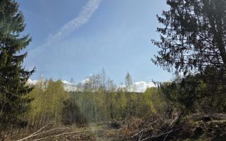 Teren intravilan de vanzare - Vistisoara - Poză 3