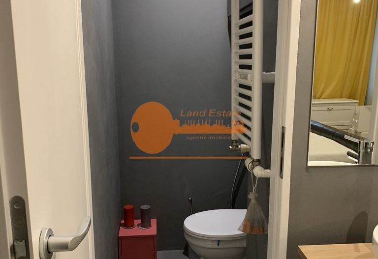 2 camere Herastrau-Aron Cotrus - Poză 3