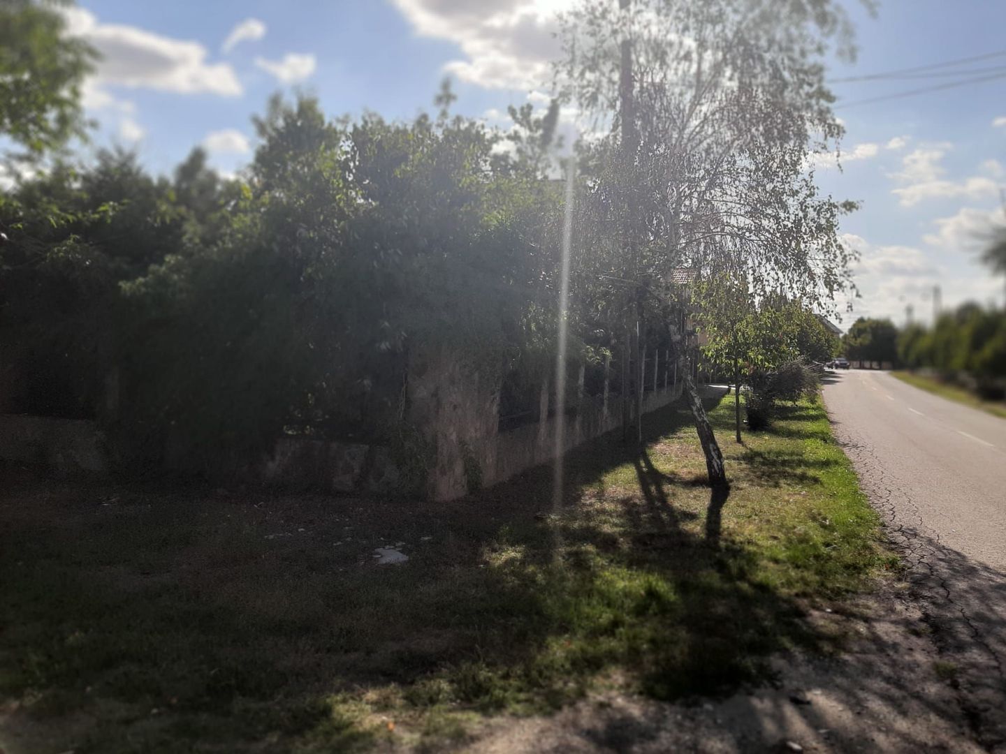 Casa individuala Timisoara/ Mehala - Poză 2