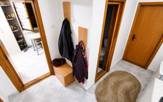 Apartament 4 camere parter/ Spațiu Comercial Nicolina 2 - Poză 3