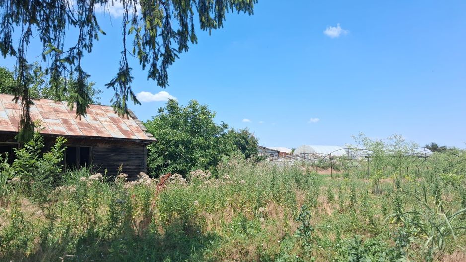 Vânzare teren Ilfov -Vidra | 3524 mp - Poză 3