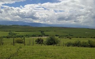 De vanzare, teren 11.500 mp – Dealul Dăii,  Vedere panoramică spre munți și lac - Poză 7