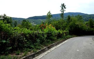 Teren Intravilan, utilitati in zona, 2600 mp, Draganeasa, Prahova - Poză 6