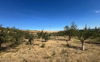 Proprietate de 9.881mp în Dudașul Schelei – Ideal Agroturism sau Fermă - Poză 15