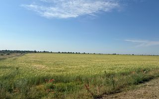 Teren 10 hectare pretabil pt panouri solare-Aricesti Rahtivani - Poză 9