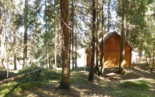 Casă de vacanta de vanzare, in Marisel, langa Cabana Motilor - Poză 53